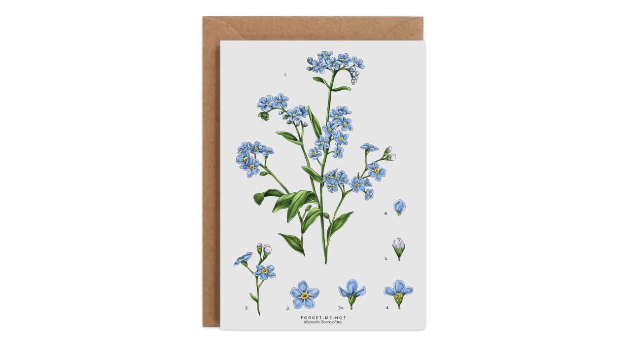 Forget-Me-Nots Greetings Card 