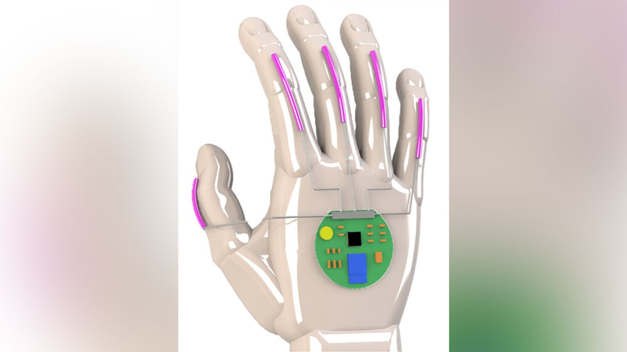A digital rendering of the glove.
