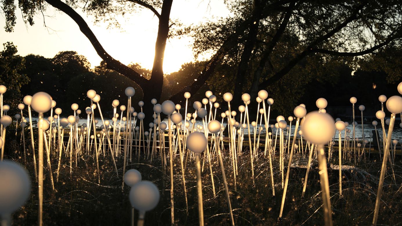 <strong>Brookgreen Gardens: </strong>In Bruce Munro's "Field of Light," 11,700 stems of light in softly moving colors cover the Arboretum.