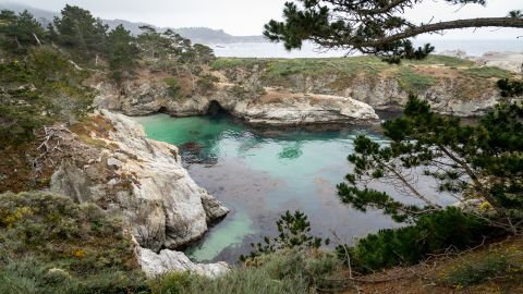 Point Lobos