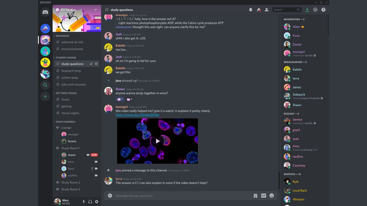 Screenshot of a Discord community server