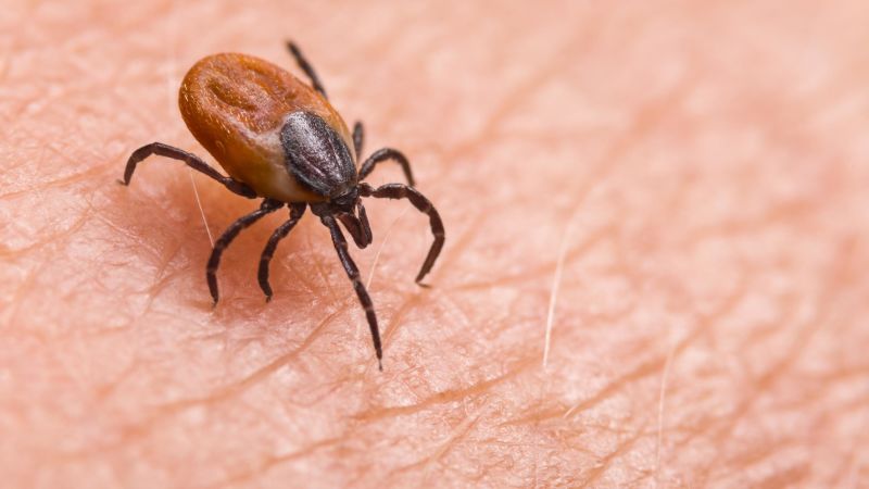        Tickborne disease has been on the rise in the US, with the number of cases growing 25% from 2011 to 2019. Among them is babesiosis, which has b