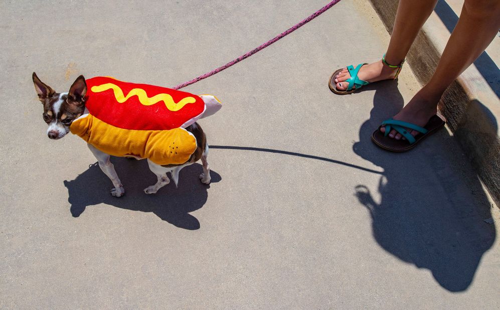 Lexi Edwards walks her dog Philly along the San Clemente Pedestrian Beach Trail in San Clemente, California.