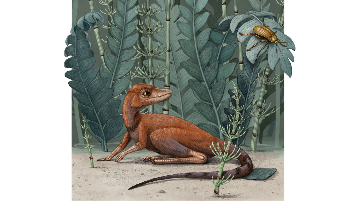 Dinosaur Predation in the Fossil Record - Digital Atlas of Ancient