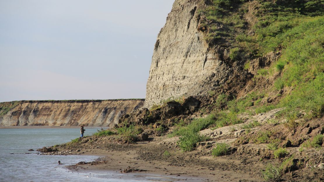 The outcrop in Alaska where the fossil was found.