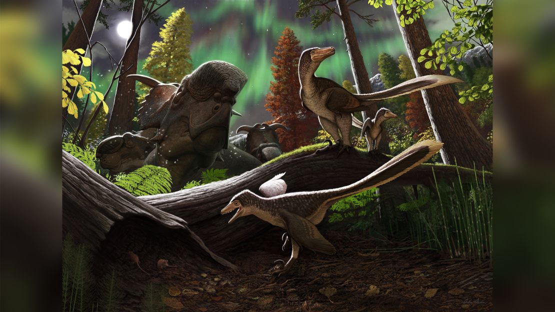 An illustration from Andrey Atuchin depicting the environment in the Prince Creek Formation 70 million years ago, with a juvenile dromaeosaurid on the branch close to an adult.