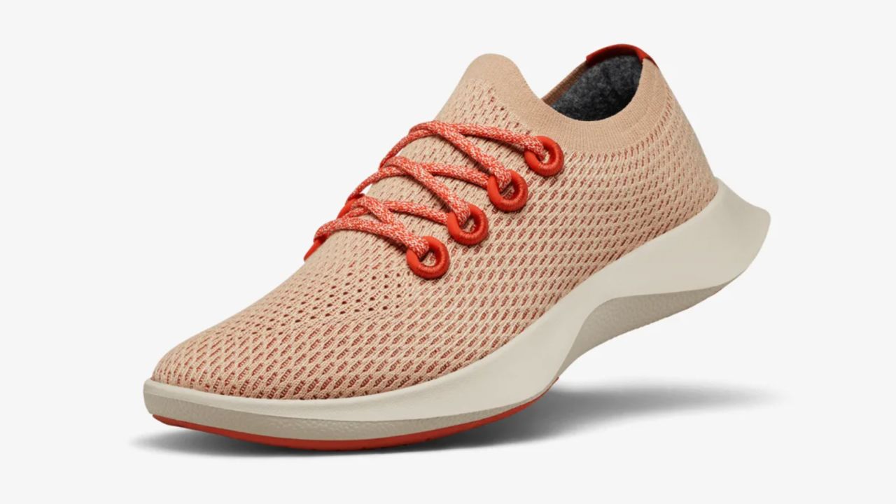 allbirds tree dashers womens