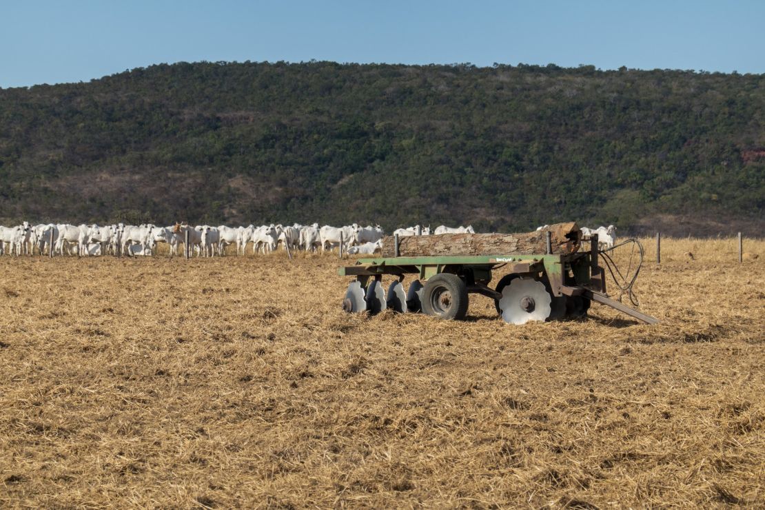 Farms now exist right alongside the Amazon rainforest and Brazil's indigenous tribes.