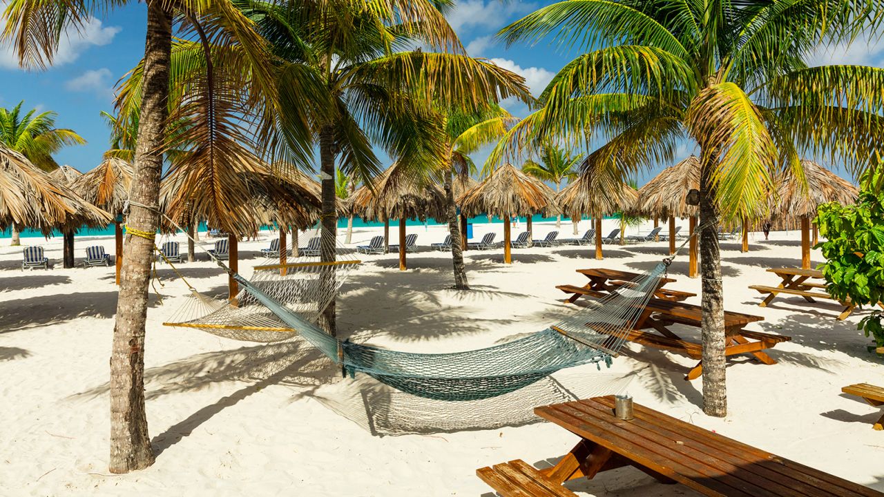 Hammocks and sunbeds under the palm trees on exotic Barbados beach in the Carribean