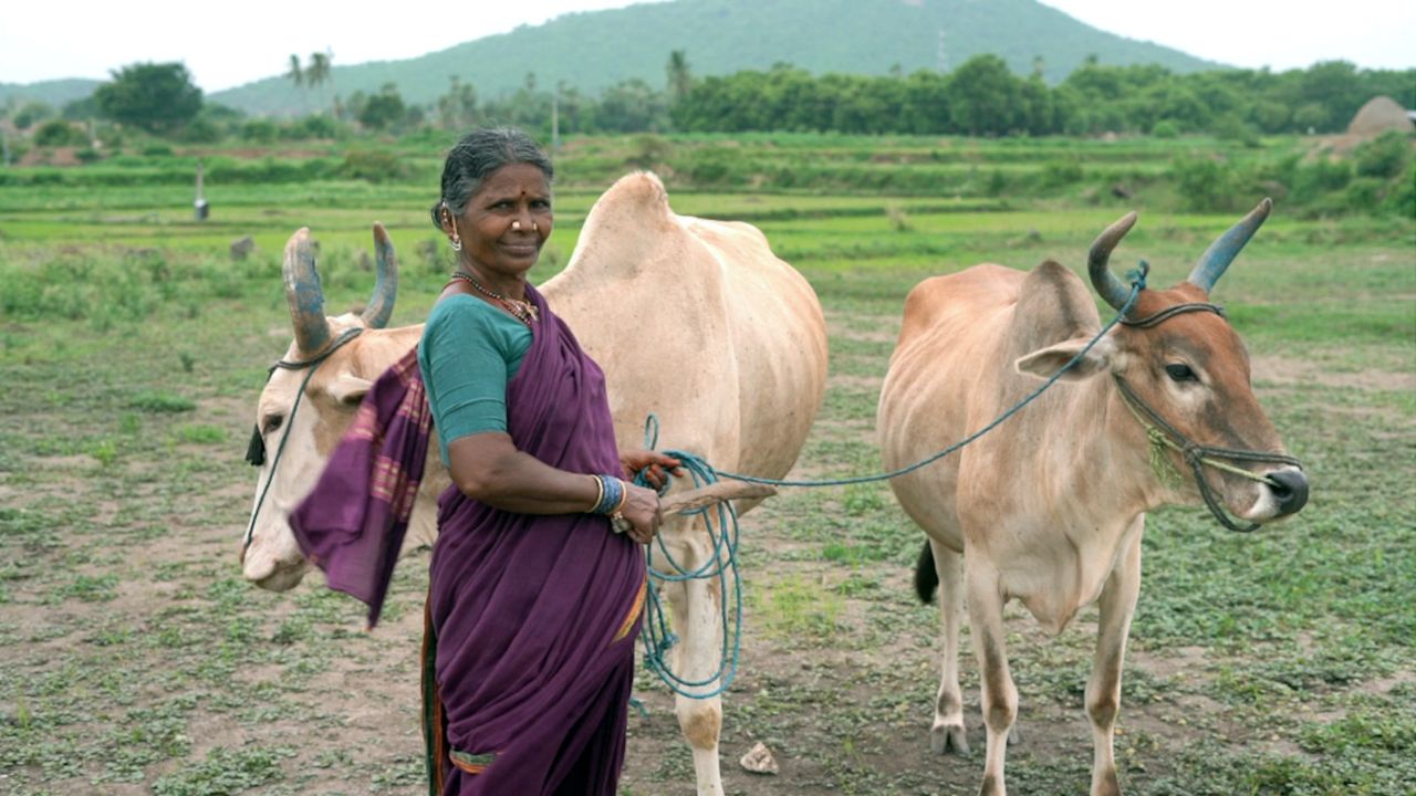 Gangavva did farm work before becoming an actor.