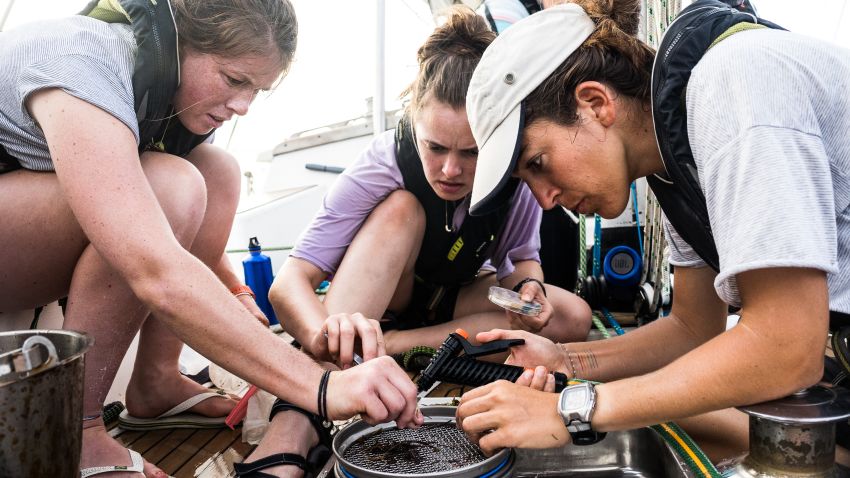 Examining a trawler sample aboard the SV TravelEdge, the vessel for the round the world eXXpedition.
