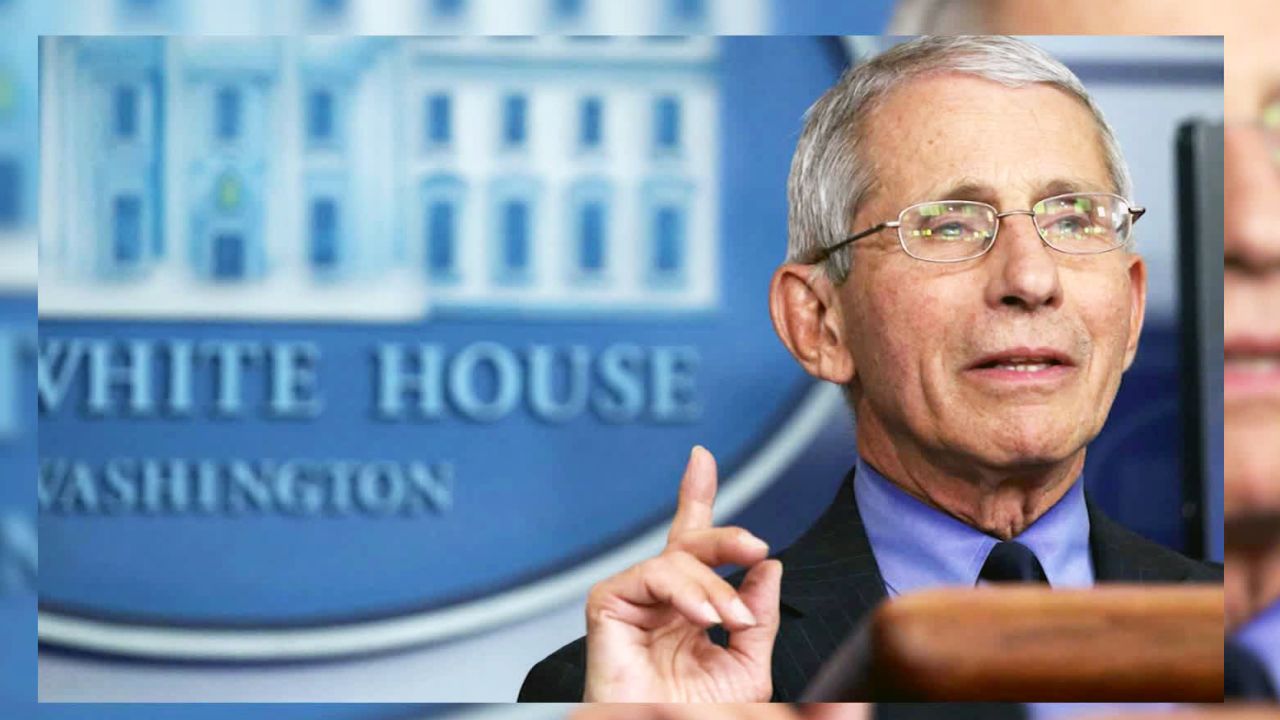 dr anthony fauci peter navarro white house coronavirus atlantic sot nr vpx_00001829