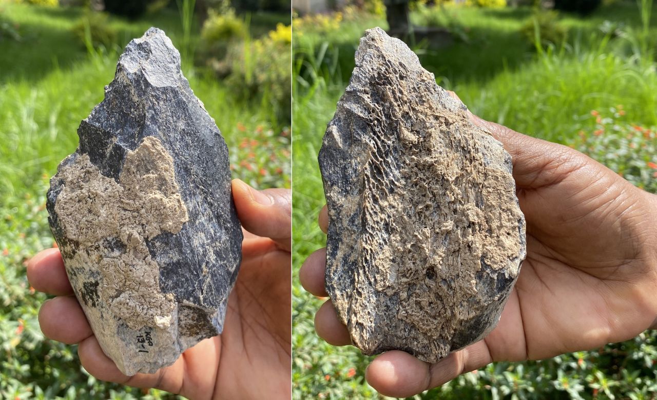 This image shows both sides of the 1.4 million-year-old bone handaxe made from the femur of a hippopotamus. It was most likely crafted by ancient human ancestors like Homo erectus.