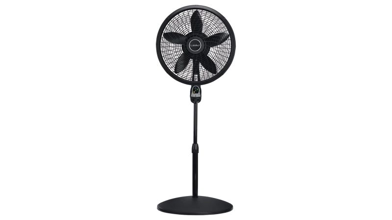 Best discount peloton fan