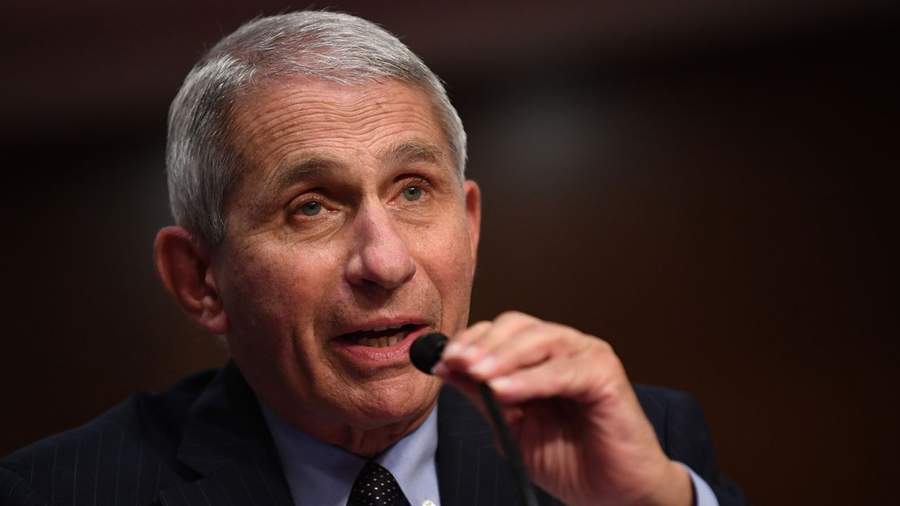 WASHINGTON, DC - JUNE 30:  Dr. Anthony Fauci, director of the National Institute for Allergy and Infectious Diseases, testifies at a hearing of the Senate Health, Education, Labor and Pensions Committee on June 30, 2020 in Washington, DC. The committee is examining efforts to contain the Covid-19 pandemic while putting people back to work and kids back in school.  (Photo by Kevin Dietsch-Pool/Getty Images)