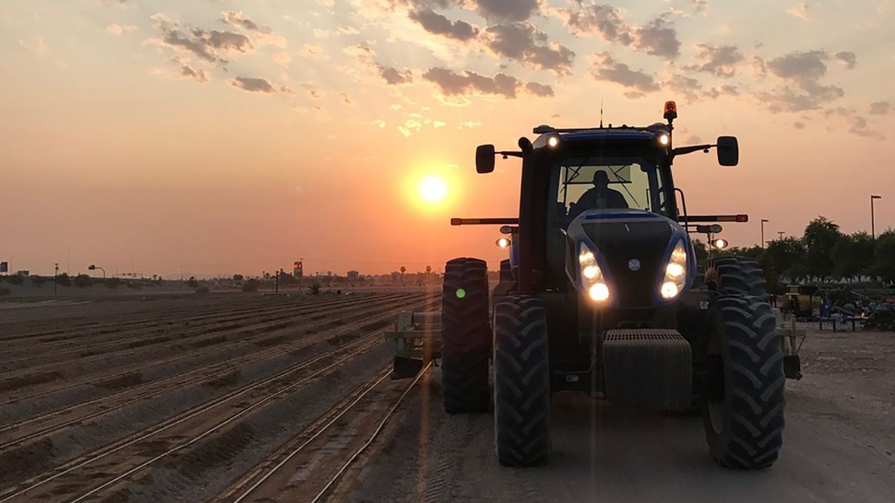 Sunrise over the fields at McClendon's Select Goodyear, Arizona farm location.