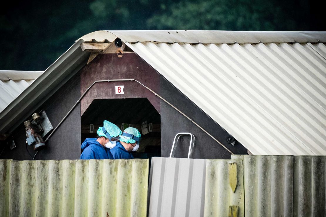 An infected mink farm in Deurne, the Netherlands, on June 6 as animals were culled on 25 farms.