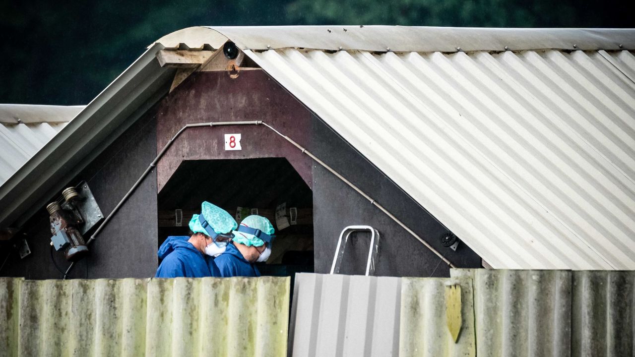 An infected mink farm in Deurne, the Netherlands, on June 6 as animals were culled on 25 farms.