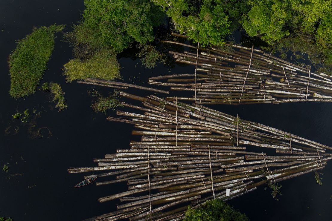 An aerial view of some of 900 logs from illegal cutting that were seized by the Amazon Military Police in Amazonas State, Brazil.