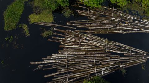 An aerial view of some of 900 logs from illegal cutting that were seized by the Amazon Military Police in Amazonas State, Brazil.