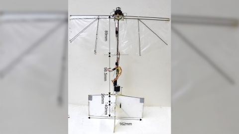 The ornithopter can hover, dart and dive. 