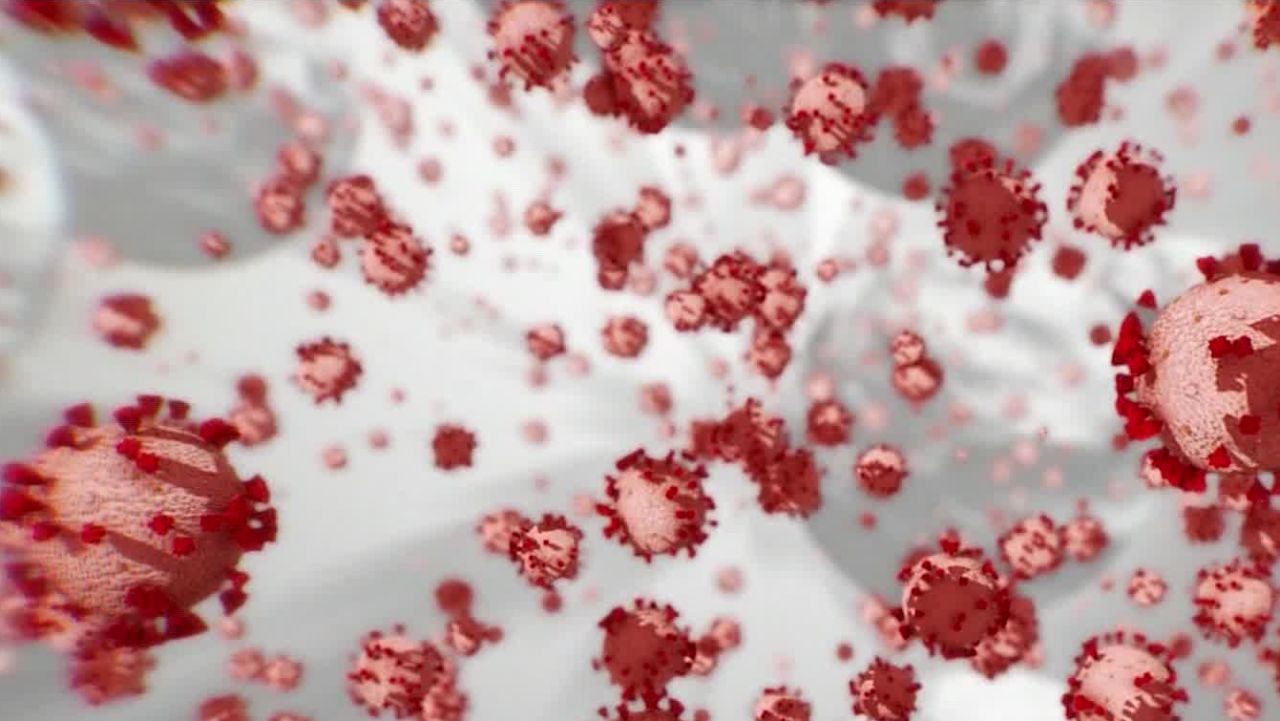 Coronavirus Close Up