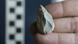 Stone tool found below the Last Glacial Maximum (LGM) layer, within Stratigraphic Component C.