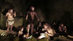 Neandertals and modern man have mixed and exchanged genes several times over the millennia. Researchers have discovered that people who have inherited a gene variant for an ion channel from Neandertals have a lower pain threshold.
