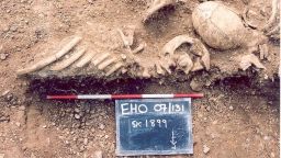 Massacred 10th century Vikings found in a mass grave at St John's College, Oxford, were part of the study. 