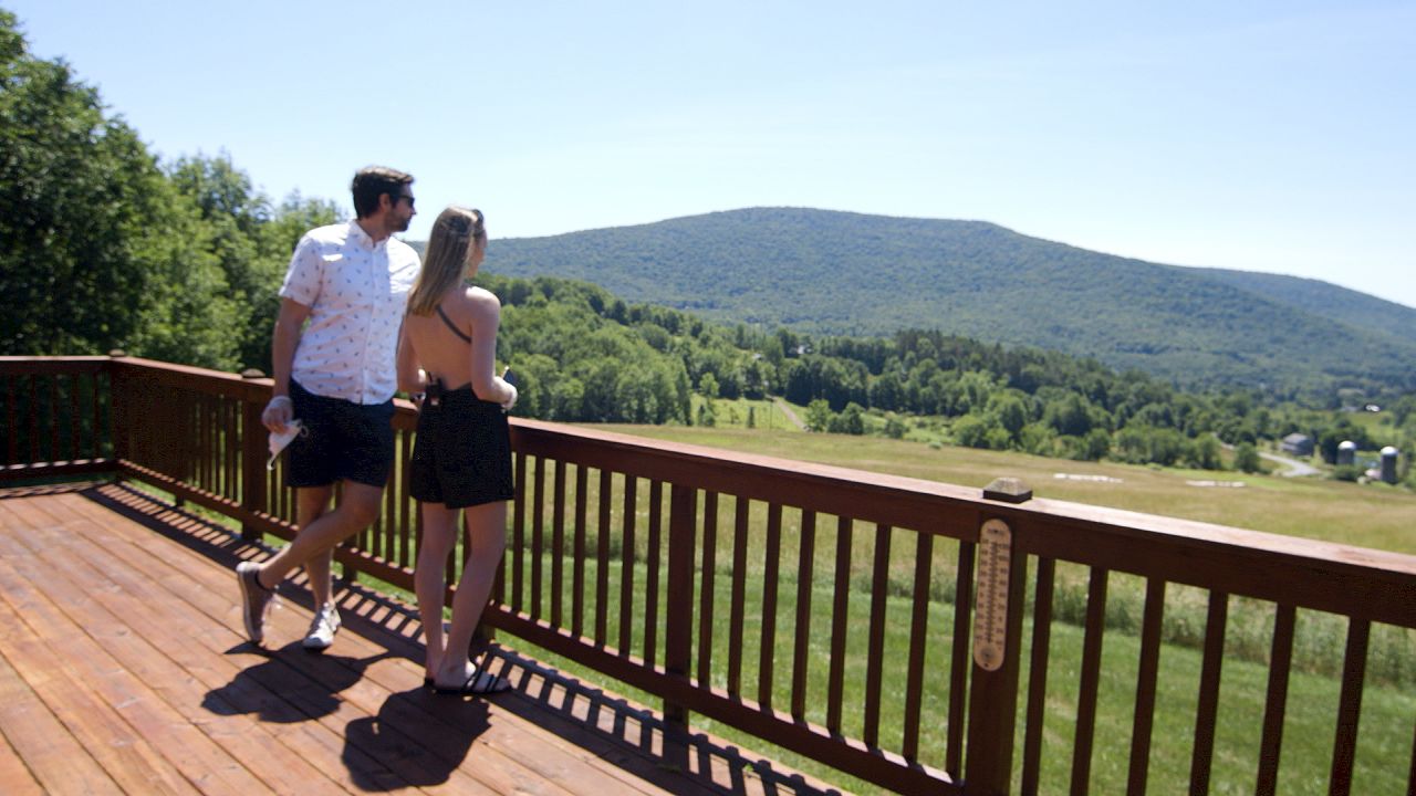 catskills house buyers