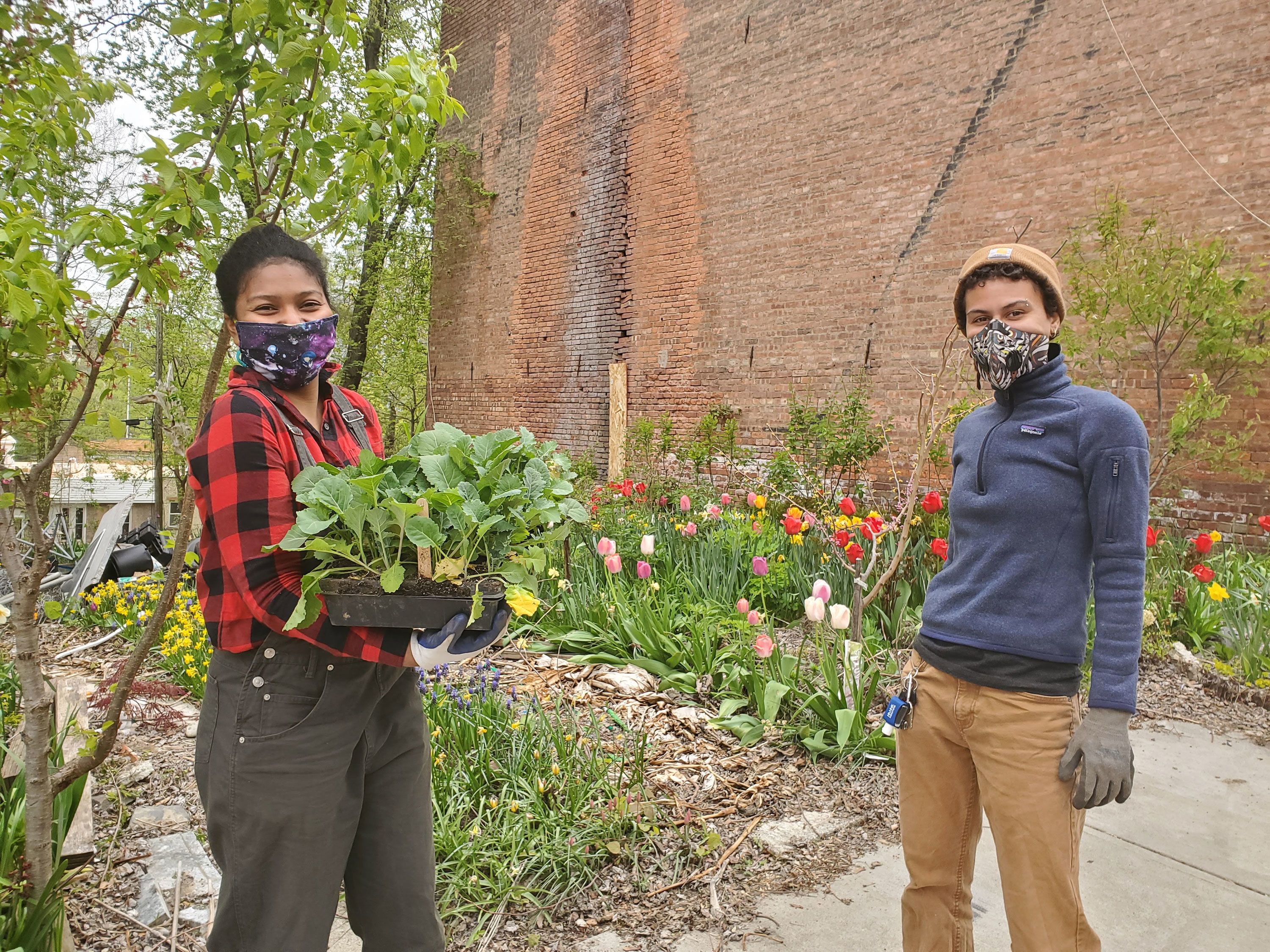 In their own words: Young Black farmers share what it takes to succeed