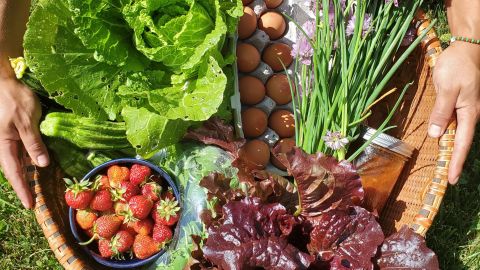 Fruits, vegetables, herbs and eggs from Soul Fire Farm.