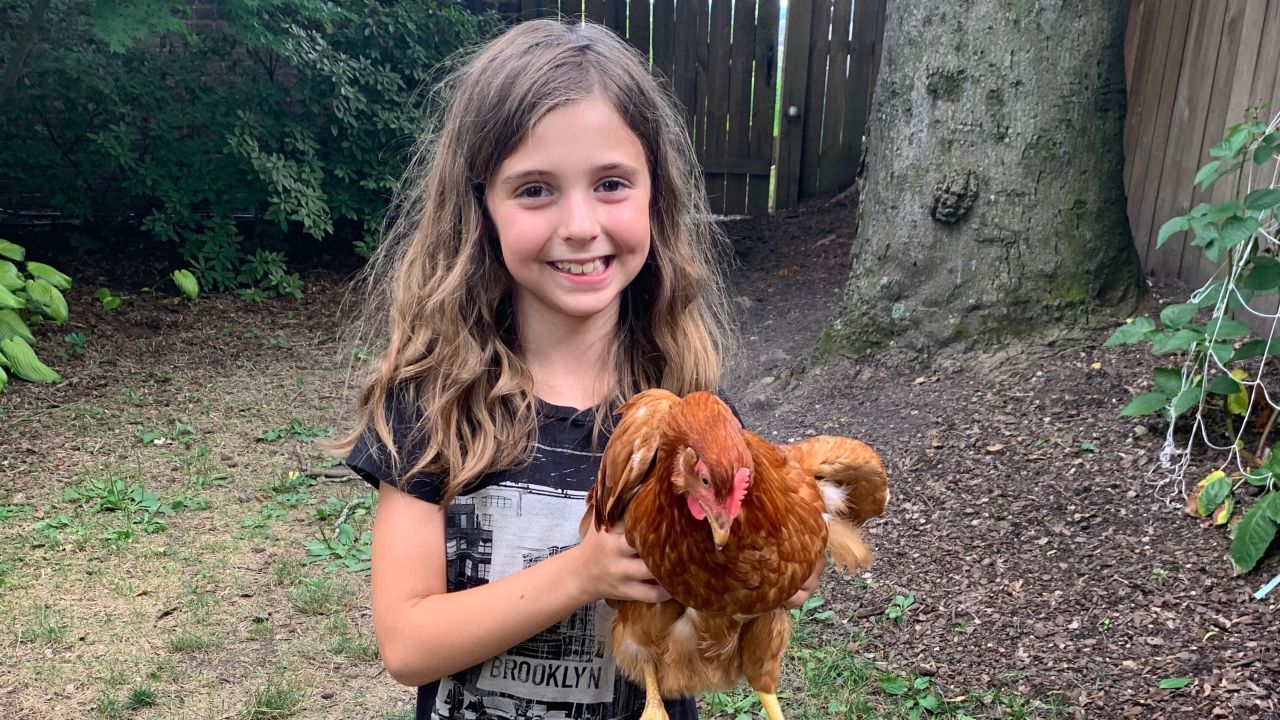 Charlotte named the six chickens after her favorite women's rights activists, Supreme Court justices, and pop singers.