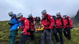 St. Bernard dog rescued from England's highest mountain