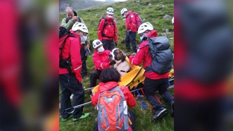Rescuers put Daisy on a stretcher to safely bring her down Scafell Pike. 
