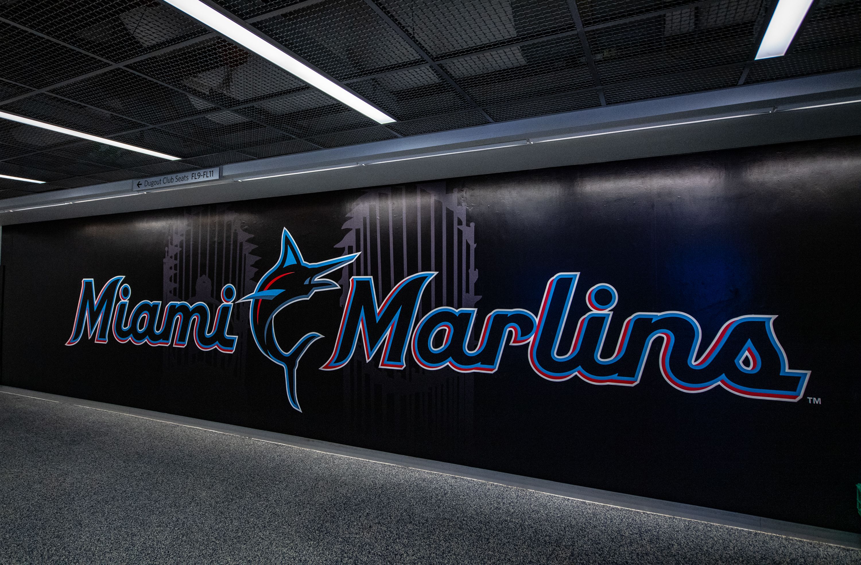 What the Marlins Rebrand Could've Been : r/baseball