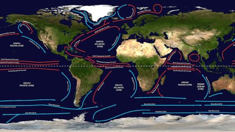 There are five major gyres, which are large systems of rotating ocean currents. The ocean churns up various types of currents. Together, these larger and more permanent currents make up the systems of currents known as gyres.