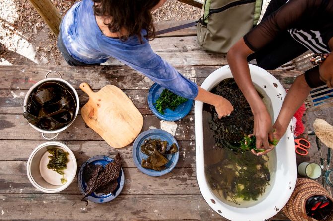 Her company Veld and Sea offers workshops focusing on sustainable foraging, only harvesting seaweed and other edible foods that grow abundantly in the area.
