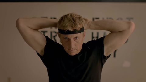 Seasons one and two of <strong>"Cobra Kai" </strong>are running on <strong>Netflix </strong>in August. Thirty years after the 1984 All Valley Karate Tournament, Johnny's rivalry with Daniel reignites as Ralph Macchio and William Zabka reprise their roles from the hit film franchise,"The Karate Kid." Here's some of what else is streaming in August...
