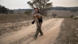 PEAK VIEW, AUSTRALIA - FEBRUARY 04: Animal rescuer Marcus Fillinger carries a bushfire burned kangaroo on February 4, 2020 in Peak View, Australia. The dart gun specialist had tranquilized the wounded animal near a fire-scorched Koala reserve for transport to a recovery center. Networks of wildlife rescuers and caregivers across Australia have responded to the country's historic bushfires, which have killed countless animals. In many affected areas, surviving wildlife are now suffering from near starvation, due to the widespread habitat destruction. Fillinger runs the AlphaDog Animal Army charity for rescuing both domestic animals and wildlife. (Photo by John Moore/Getty Images)
