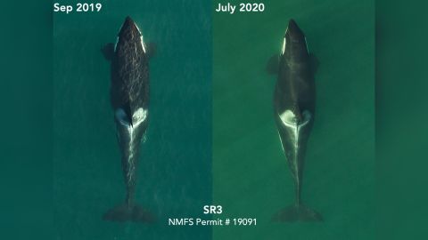 Aerial images of L72 in September 2019 and now in July 2020.