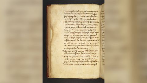 The remedy was part of an early medieval medical text called "Bald's Leechbook."