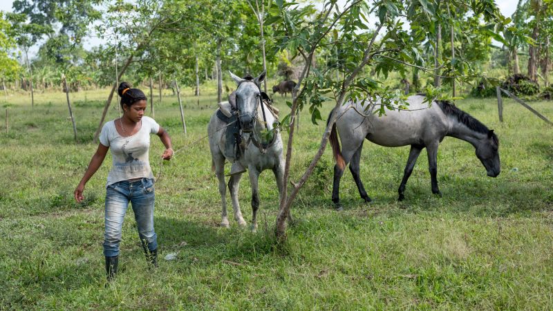 Record Number Of Environmental Activists Killed In 2019 | CNN