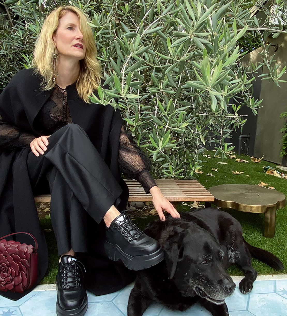 Laura Dern poses in the latest Valentino campaign 
