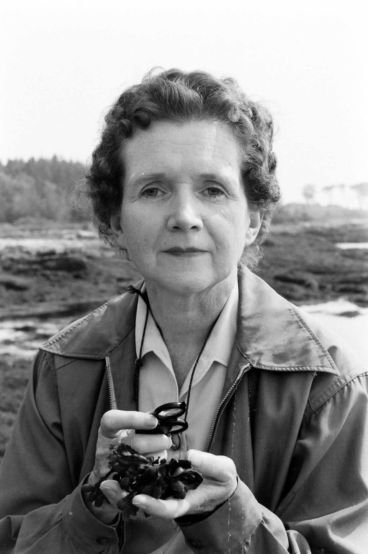 Marine biologist and author Rachel Carson became the second woman hired by the US Bureau of Fisheries in 1936. Although she published multiple books throughout her life, her groundbreaking book "Silent Spring" became a springboard for the global environmental movement. Her research on the effects of pesticides led to the ban of DDT. 