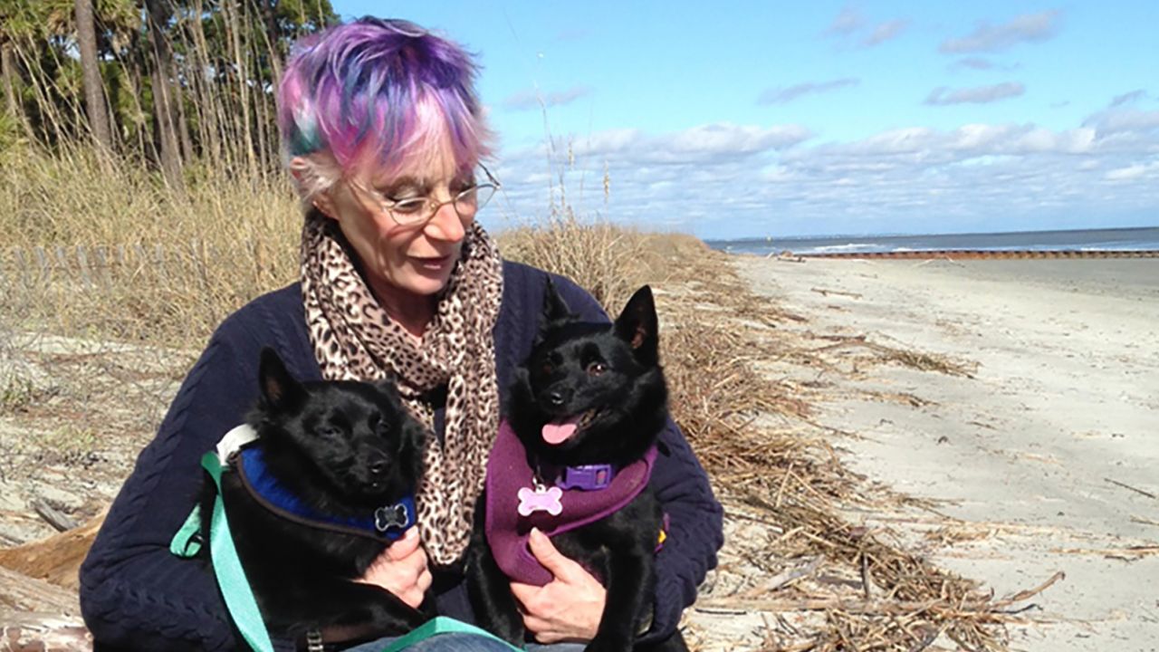 Sharon Shea chronicled her RV journey around the country with her dogs from 2013 to 2016 in her book "Three Years in a Walmart Parking Lot."