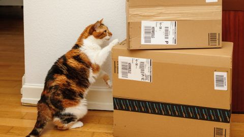 underscored amazon boxes on floor with cat