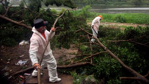 Fire and rescue workers cut the branches of a tree that fell under heavy rain caused by Isaias in Santo Domingo, Dominican Republic, on Thursday.