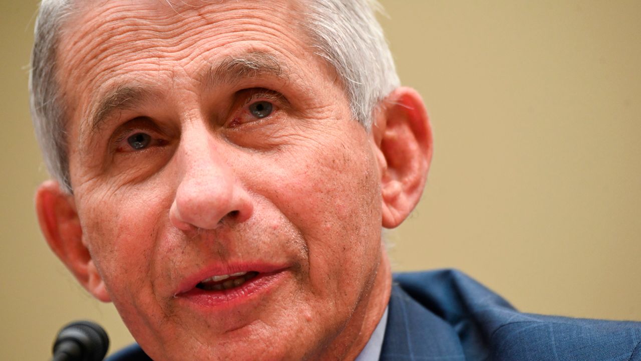 Anthony Fauci, director of the National Institute of Allergy and Infectious Diseases, testifies during a House Subcommittee on the Coronavirus Crisis hearing on a national plan to contain the COVID-19 pandemic, on Capitol Hill in Washington, DC on July 31, 2020. (Photo by Erin Scott / Pool / AFP) (Photo by ERIN SCOTT/Pool/AFP via Getty Images)