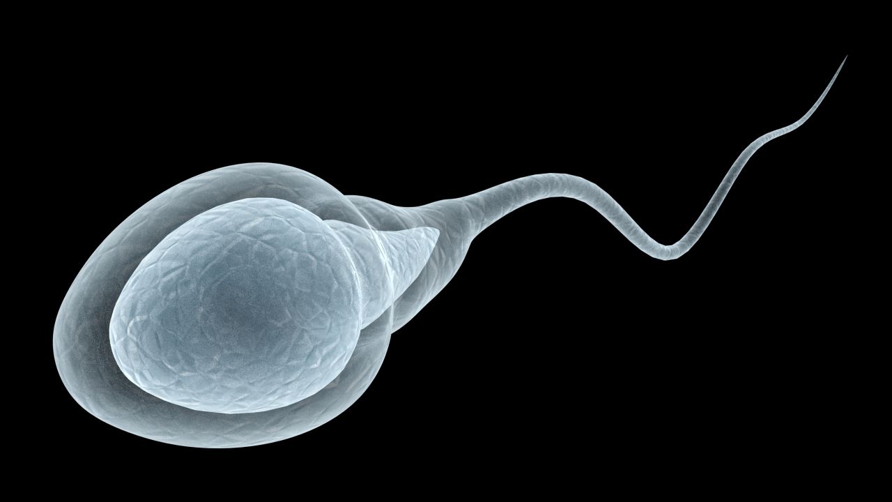 Фотография сперматозоида